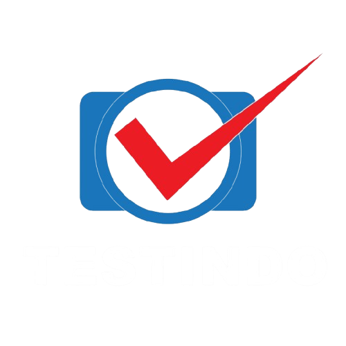 PT Testindo